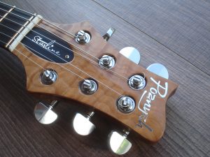 Starline Brian – Изготовление гитар на заказ