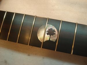 Black Moon – Изготовление гитар на заказ