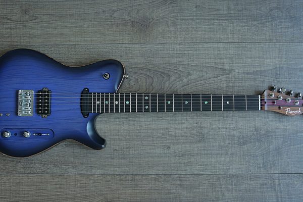 Starline Zebra Blue – Изготовление гитар на заказ